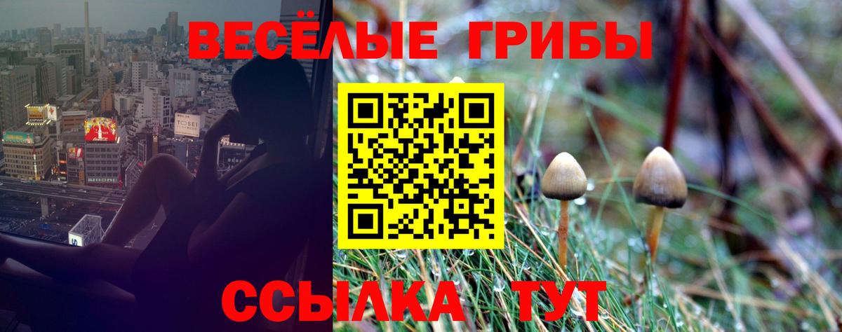 Димитровград  Галлюциногенные грибы GOLDEN TEACHER  Вход с VPN  Галлюциногенные грибы ЛСД 